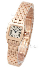 Cartier Santos Demoiselle Rose Gold Silver Dial Cartier Santos Demoiselle Rose Gold Silver Dial
