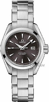 Omega Seamaster Aqua Terra Steel Grey Dial Omega Seamaster Aqua Terra Steel Grey Dial