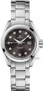 Omega Seamaster Aqua Terra Steel Grey Dial Omega Seamaster Aqua Terra Steel Grey Dial