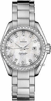 Omega Seamaster Aqua Terra Steel Silver Dial Omega Seamaster Aqua Terra Steel Silver Dial