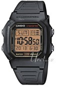 Casio Resin 44.2x36.8 mm Casio Resin 44.2x36.8 mm
