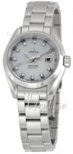 Omega Seamaster Aqua Terra Steel Silver Dial